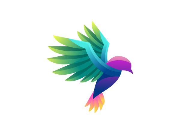 Colorful bird illustration gradient